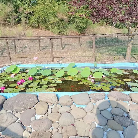 La Mimosa By Interhome *