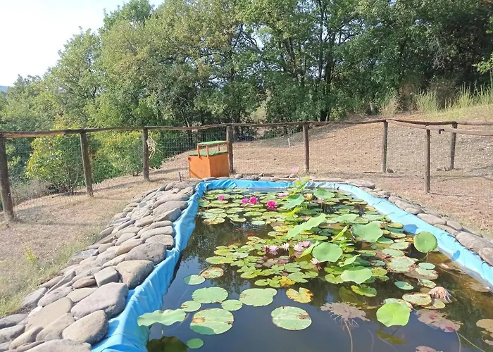 La Mimosa By Interhome Apartman