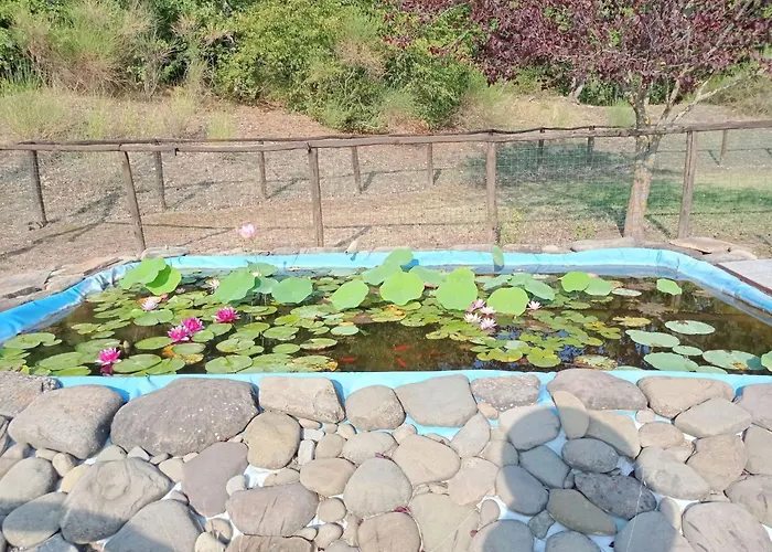 La Mimosa By Interhome *